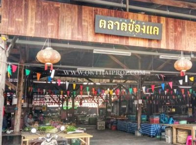 ที่ดินติดถนน ใกล้ชลประทานช่องแค อ.ตาคลี จ.นครสวรรค์ - รูปที่ 7