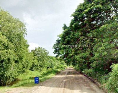 ที่ดินติดถนน ใกล้ชลประทานช่องแค อ.ตาคลี จ.นครสวรรค์ - รูปที่ 3