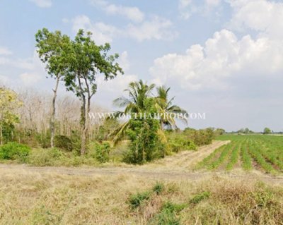 ที่ดินติดถนน ห้วยหอม ตาคลี นครสวรรค์ - รูปที่ 3