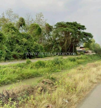 ขายที่ดินพร้อมต้นสัก ใกล้อบต.สร้อยทอง อ.ตาคลี จ.นครสวรรค์ - รูปที่ 3