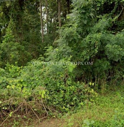ขายที่ดินพร้อมต้นสัก ใกล้อบต.สร้อยทอง อ.ตาคลี จ.นครสวรรค์ - รูปที่ 7