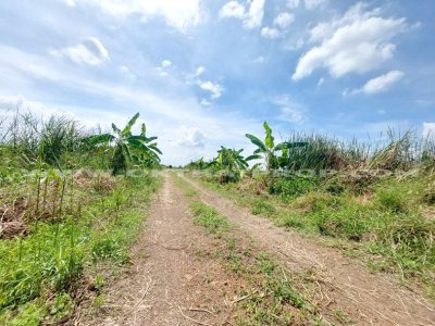 ที่ดินจัดสรร ถ.346 ลาดหลุมแก้ว ปทุมธานี - รูปที่ 5