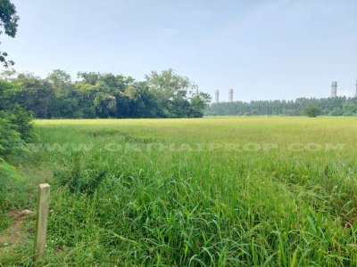 ที่ดิน ถ.สระบุรี-อยุธยา อ.หนองแซง จ.สระบุรี - รูปที่ 3