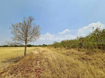 ที่ดินสวย ใกล้โรงพยาบาลพัฒนานิคม อ.พัฒนานิคม จ.ลพบุรี - รูปที่ 4