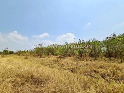 ที่ดินสวย ใกล้โรงพยาบาลพัฒนานิคม อ.พัฒนานิคม จ.ลพบุรี - รูปที่ 5