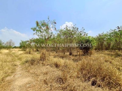 ที่ดินสวย ใกล้โรงพยาบาลพัฒนานิคม อ.พัฒนานิคม จ.ลพบุรี - รูปที่ 6