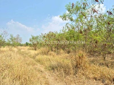 ที่ดินสวย ใกล้โรงพยาบาลพัฒนานิคม อ.พัฒนานิคม จ.ลพบุรี - รูปที่ 2