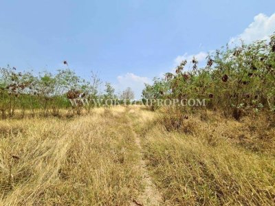 ที่ดินสวย ใกล้โรงพยาบาลพัฒนานิคม อ.พัฒนานิคม จ.ลพบุรี - รูปที่ 7