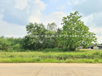 ที่ดินติดถนน ถ.เฉลิมพระเกียรติ ร.9 อ.หนองใหญ่ จ.ชลบุรี - รูปที่ 2