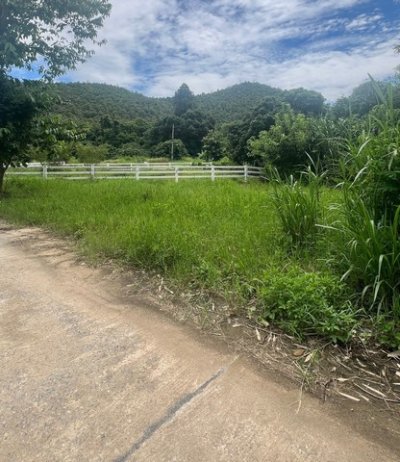 ขายที่ดิน 65ตรว. ลดเหลือ450,000บาท ฟรีโอน วิวเขา ถนนคอนกรีต น้ำประปา ไฟฟ้า ใกล้ถนนสันกำแพง-แม่ออน ต.ออนใต้ อ.สันกำแพง เชียงใหม่ - รูปที่ 2