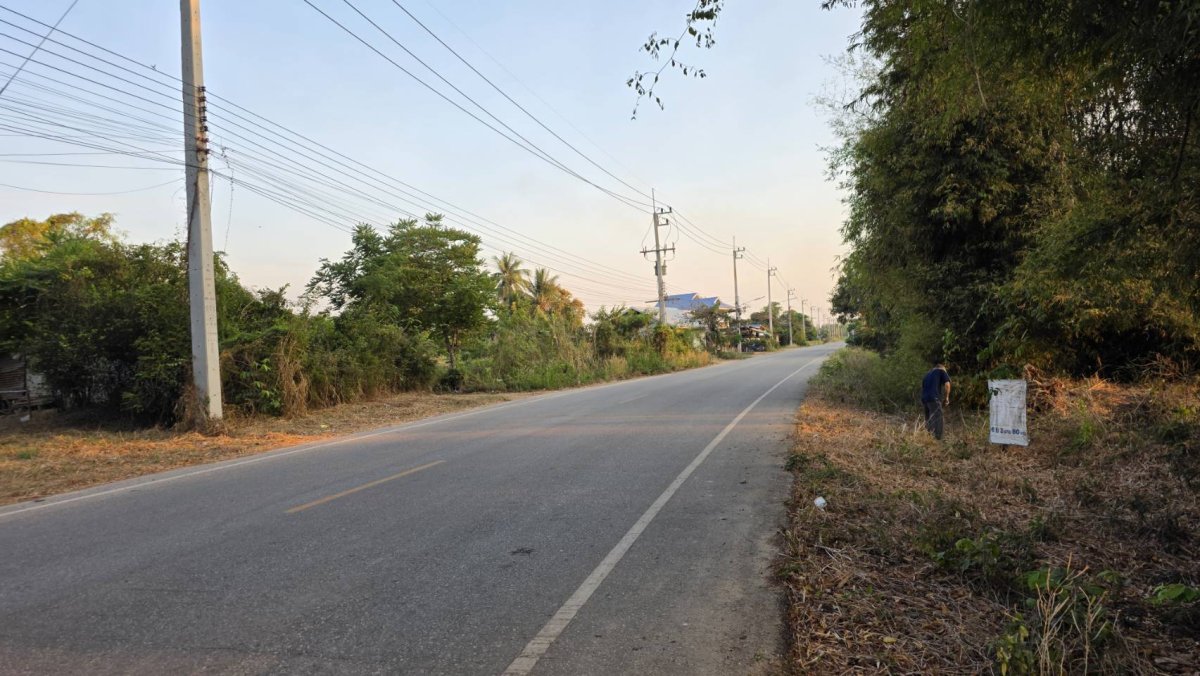 ขายที่ดิน 6 ไร่ 2 งาน 80 ตร.วา มีโฉนด ติดถนนลาดยางมะตอย อ.วังทอง จ.พิษณุโลก