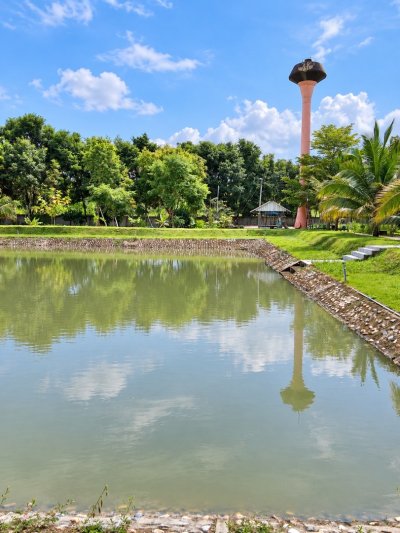 ขายที่ดินพร้อมบ้านสวน ทำเลธรรมชาติ มีบ่อปลาและระบบน้ำพร้อมใช้ (เจ้าของขายเอง) - รูปที่ 4