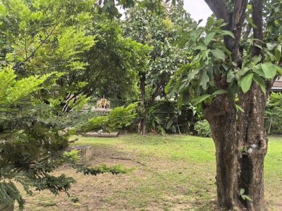 ให้เช่าบ้านเดี่ยว 2 ชั้น 240 ตร.ว. พร้อมสวนขนาดใหญ่ ซอยพัฒนเวศ 12 ใกล้ BTS พระโขนง - รูปที่ 3