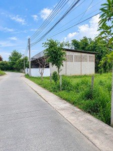 ขายที่ดินพร้อมโกดัง 2 ไร่กว่า ติดถนน 3551 ที่ดินพร้อมโกดัง 1 หลังทำเลมีหมู่บ้านจัดสรรใกล้เคียง - รูปที่ 4