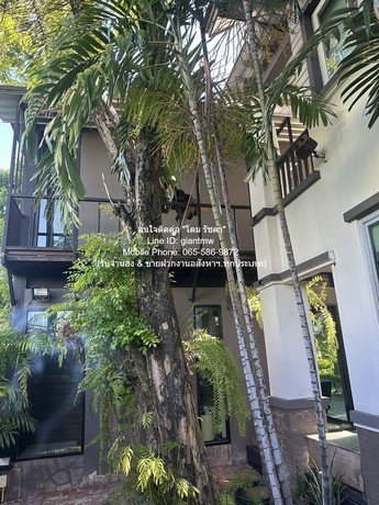 DSL-831 ขาย บ้าน ขายบ้านเดี่ยวหรู 2 ชั้น (3 หลัง) ถ.พัฒนาการ 136.9 ตร.ว. 5 น 5 น้ำ 4 จอดรถ (ห่าง ซ.ทองหล่อ 10 นาที), ราคา 54 ล้านบาท - รูปที่ 3
