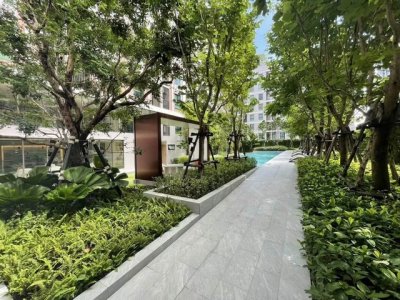 ให้เช่า Good Day Sukhumvit 93 ห้องใหม่ ใกล้ BTS บางจาก ราคา 11000 บาท - รูปที่ 4