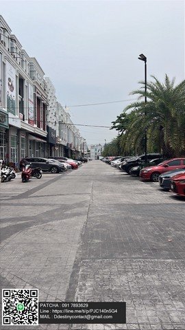 ให้เช่าอาคารพาณิชย์ห้องมุมพร้อมที่ดิน สุขุมวิท 103 – อุดมสุข (บางนา) - รูปที่ 8