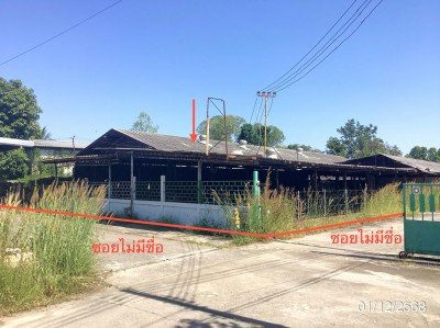 ขายโกดัง กำแพงเพชร 2 งาน ตำบลสลกบาตร อำเภอขาณุวรลักษบุรี - รูปที่ 8