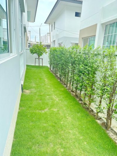 บางนา-ตราด กม.16 ให้เช่าบ้าน 2 ชั้น 3 นอน เปิดซิง! ทีวี ตู้เย็น เครื่องซักผ้า บางปลา วัดบางโฉลงนอก 700 ม. 2 น้ำ 35 ตร.วา.135 ตร.ม - รูปที่ 6