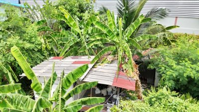 ให้เช่าที่ดินเปล่า  บางมด BigC สุขสวัสดิ์ 492ม.  176ตร.วา. 704ตรม.   โฮมโปรสุขสวัสดิ์  แยกพระประแดง 800 ม. - รูปที่ 3