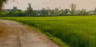 ขายที่ดินแปลงสวย ทำเลดี ตำบลสันกลาง อำเภอพาน จังหวัดเชียงราย เดินทางสะดวก ใกล้ถนนสายหลัก - รูปที่ 2