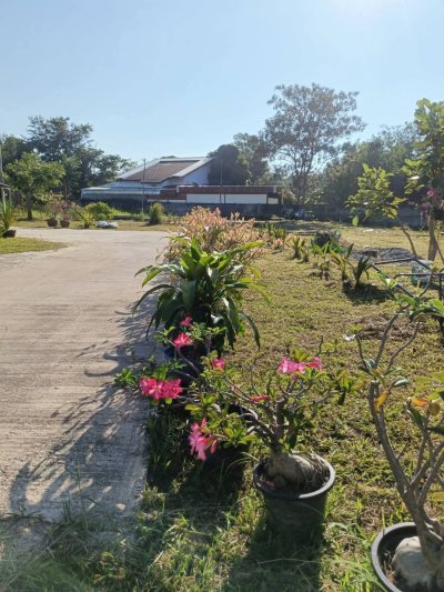 ขายบ้านพร้อมที่ดิน อำเภอเมือง จังหวัดอำนาจเจริญ เนื้อที่ 1 ไร่ 3 งาน 49 ตารางวา - รูปที่ 8