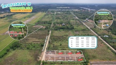 ขายที่ดินคลอง 10 ซอยคุณหญิง เฟส 3 แปลง D 699 ตร.ว. ติดแนวคลองแอลและถนนคอนกรีตสาธารณะ ราคา 1677600 บาท - รูปที่ 8