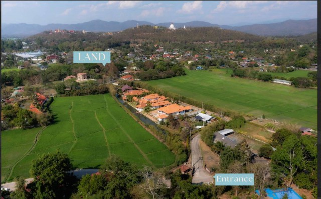 ราคาลดพิเศษ 8.9 ล้านบาท ขายที่ดินทำเลสงบ #ดอยสะเก็ด–#เชิงดอย ที่ดินแปลงสวย มีต้นฉำฉาใหญ่ บรรยากาศร่มรื่น #ใกล้วัดพระธาตุดอยสะเก็ด