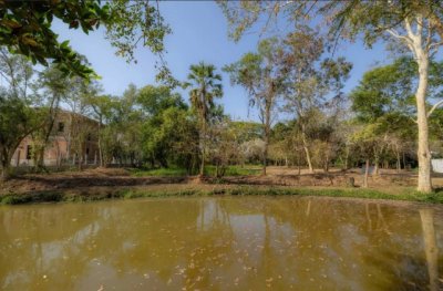 ราคาลดพิเศษ 8.9 ล้านบาท ขายที่ดินทำเลสงบ #ดอยสะเก็ด–#เชิงดอย ที่ดินแปลงสวย มีต้นฉำฉาใหญ่ บรรยากาศร่มรื่น #ใกล้วัดพระธาตุดอยสะเก็ด - รูปที่ 8