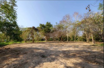 ราคาลดพิเศษ 8.9 ล้านบาท ขายที่ดินทำเลสงบ #ดอยสะเก็ด–#เชิงดอย ที่ดินแปลงสวย มีต้นฉำฉาใหญ่ บรรยากาศร่มรื่น #ใกล้วัดพระธาตุดอยสะเก็ด - รูปที่ 7
