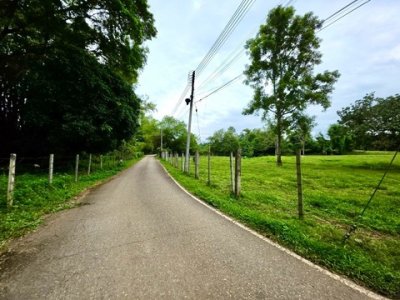 ขายที่ดินวิวเขา  8 ไร่ 2 งาน  ตำบลหัวยแก้ว  อำเภอแม่ออน   เชียงใหม่ - รูปที่ 4