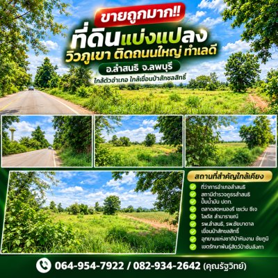 ขายถูกมาก!! ที่ดินแบ่งแปลงวิวภูเขา ติดถนนใหญ่ ทำเลดี อ.ลำสนธิ จ.ลพบุรี ใกล้ตัวอำเภอ ใกล้เขื่อนป่าสักชลสิทธิ์ - รูปที่ 2