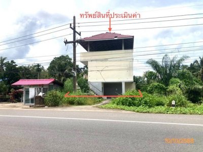 ขายอาคารพักอาศัย 3 ชั้น สุราษฎร์ธานี ถนนสายบ้านใน - ดอนสัก   ราคาโปรโมชั่น - รูปที่ 8