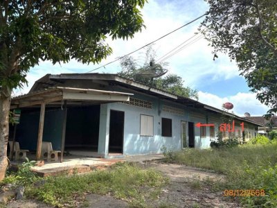 ขายรีสอร์ท สุราษฎร์ธานี เนื้อที่กว่า 2-0-29.00 ไร่  อำเภอพุนพิน - รูปที่ 7
