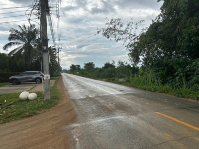ขายที่ดิน 12 ไร่  สันผักหวาน  หางดง  ทำเลทอง  เหมาะทำโครงการ จัดสรร - รูปที่ 3