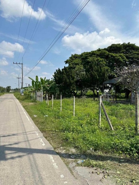 ขายที่ดิน 5ไร่ 41 ตรว  แถวบ้านถวาย  อ.หางดง จังหวัดเชียงใหม่