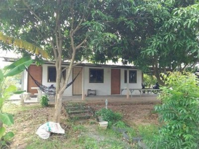 ขายที่ดิน และ โกดัง ศรีราชา-หนองขาม ที่ดิน 1 ไร่ ผังสีส้ม มีออฟฟิศ TP-F2618 - รูปที่ 6