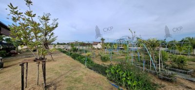 L260028 | บ้านและที่ดิน โครงการบ้านสวนไม้งาม คลอง 15 พร้อมสวนผสม ระบบสปริงเกอร์รดน้ำ น้ำ-ไฟฟ้าครบ - รูปที่ 6