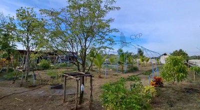 L260028 | บ้านและที่ดิน โครงการบ้านสวนไม้งาม คลอง 15 พร้อมสวนผสม ระบบสปริงเกอร์รดน้ำ น้ำ-ไฟฟ้าครบ - รูปที่ 8