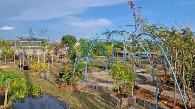 L260028 | บ้านและที่ดิน โครงการบ้านสวนไม้งาม คลอง 15 พร้อมสวนผสม ระบบสปริงเกอร์รดน้ำ น้ำ-ไฟฟ้าครบ - รูปที่ 7