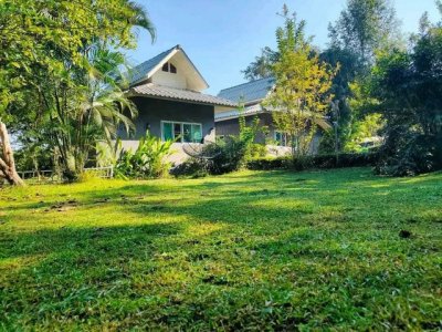 ที่ดิน 4 ไร่ 83 ตร.วา พร้อมบ้าน 4 หลัง แม่โป่ง ดอยสะเก็ด - รูปที่ 2