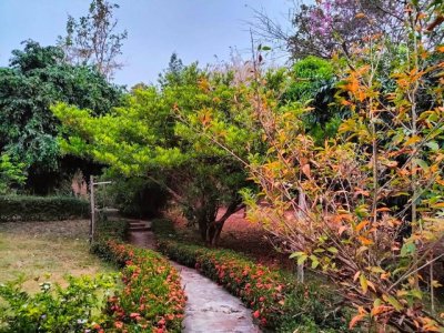 ที่ดิน 4 ไร่ 83 ตร.วา พร้อมบ้าน 4 หลัง แม่โป่ง ดอยสะเก็ด - รูปที่ 7