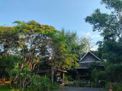 ที่ดิน 4 ไร่ 83 ตร.วา พร้อมบ้าน 4 หลัง แม่โป่ง ดอยสะเก็ด - รูปที่ 5