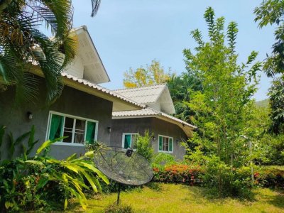 ที่ดิน 4 ไร่ 83 ตร.วา พร้อมบ้าน 4 หลัง แม่โป่ง ดอยสะเก็ด - รูปที่ 6
