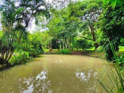 ที่ดิน 4 ไร่ 83 ตร.วา พร้อมบ้าน 4 หลัง แม่โป่ง ดอยสะเก็ด - รูปที่ 3