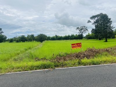ขายถูกมาก!! ที่ดิน 4 ไร่ ติดถนน ทำเลดี อ.เมือง จ.ศรีสะเกษ ใกล้แม็คโคร โลตัส  ม.เฉลิมกาญจนา ฯ - รูปที่ 8