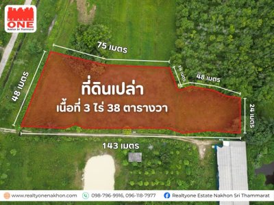 ที่ดินเปล่า 3 ไร่ 38 ตารางวา  อ.ท่าศาลา ราคาเพียง 1,100,000 บาท - รูปที่ 3