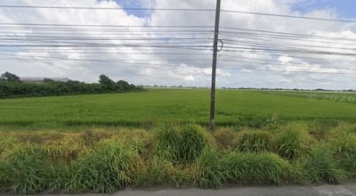 ขายที่ดินแปลงใหญ่ 33 ไร่ ทำเลศักยภาพ จ.ฉะเชิงเทราที่ดินแปลงใหญ่ เหมาะสำหรับนักลงทุน - รูปที่ 6