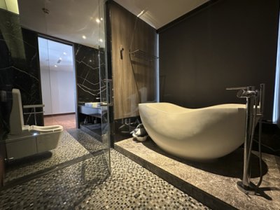 BHL1376 ขาย และ ให้เช่า The Sukhothai Residences เดอะ สุโขทัย เรสซิเด้นซ์ สาทร ใกล้ MRT ลุมพินี - รูปที่ 6