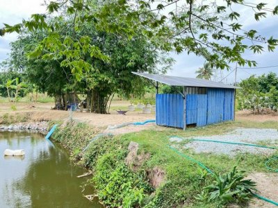 ขายที่ดินห้วยใหญ่ พัทยา ชลบุรี แปลงสวย ราคาสุดคุ้ม FP-L02534 - รูปที่ 6